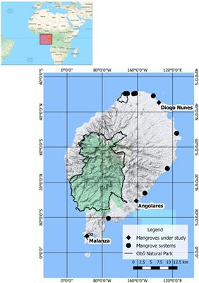 Assessing Ecosystem Services in Mangroves: Insights from São Tomé Island (Central Africa)